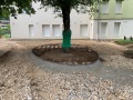IMG_7369