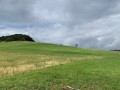 IMG_7211