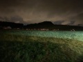 IMG_3686