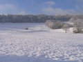 Décembre 2008