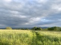 Jour d'orage au fort