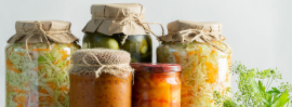 Atelier lacto-fermentation le 10/12/2022