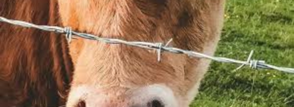 Appel à la vigilance / exploitations agricoles