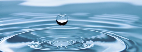 L&rsquo;eau, la connaître et la préserver : conférence de Claudine Filiâtre