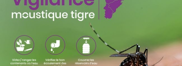 Moustique tigre : réunion d&rsquo;information à Besançon le 23 avril